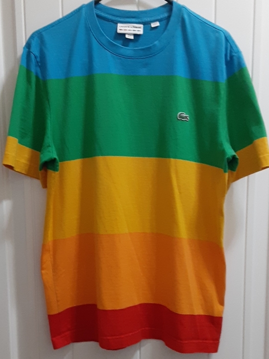 Lacoste Other - Lacoste x Polaroid 2021 Limited Edition Striped T-Shirt Men's FR 4 / US M - EUC